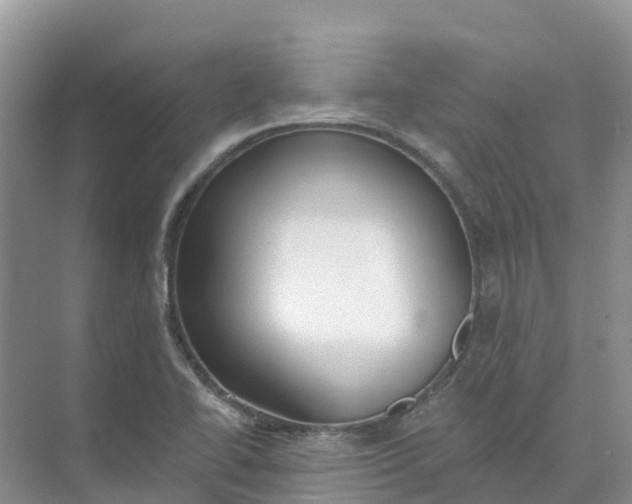 X0000074941414200609151953