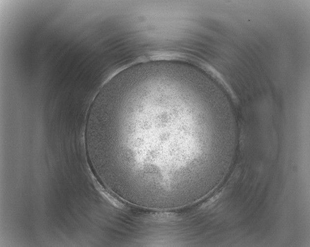 X0000074941417200609151953