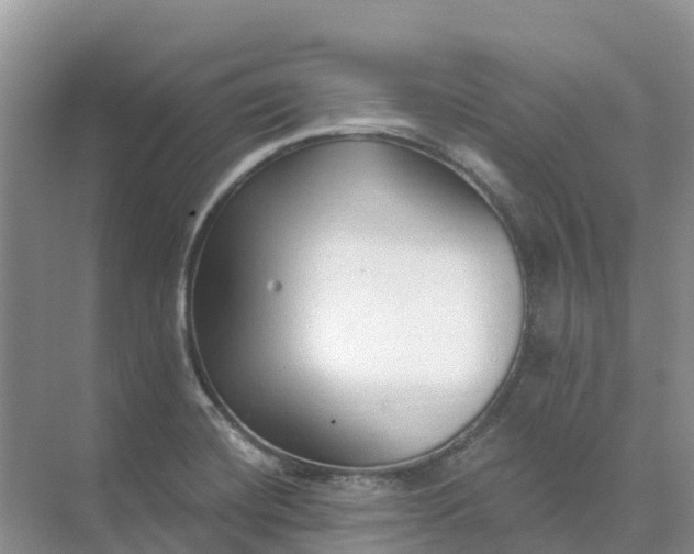 X0000074941420200609151953