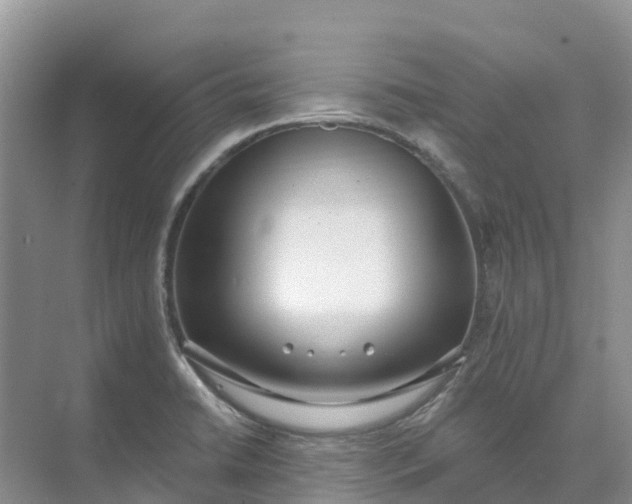 X0000074941422200609151953