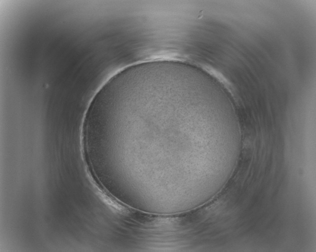 X0000074941423200609151953