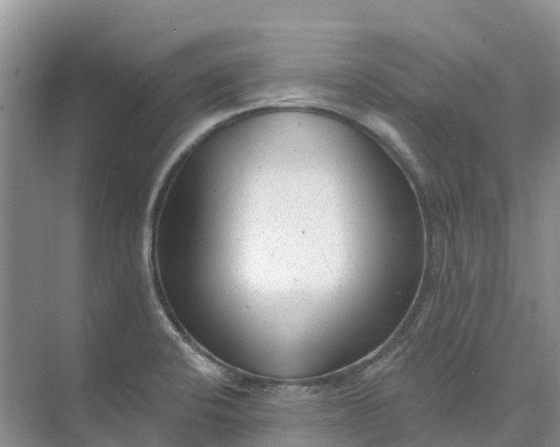 X0000074941424200609151953