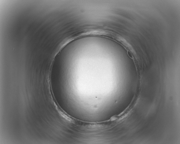 X0000074941425200609151953