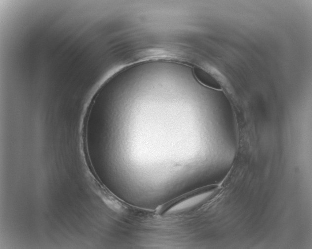 X0000074941427200609151953