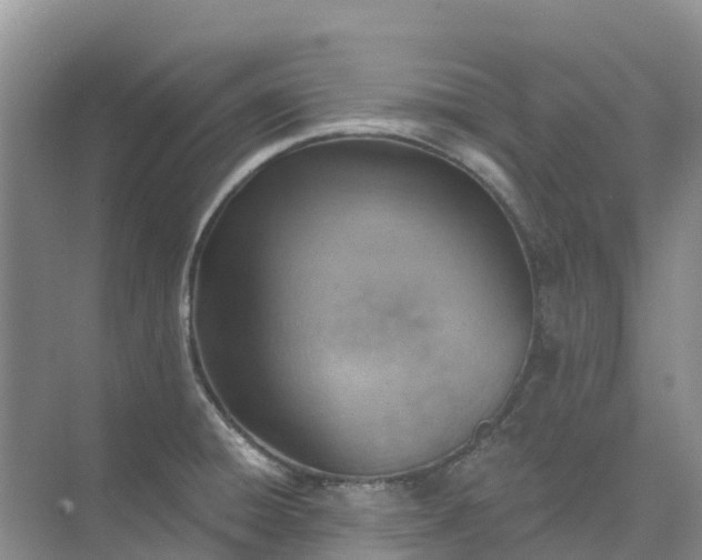 X0000074941428200609151953