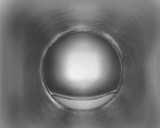 X0000074941429200609151953