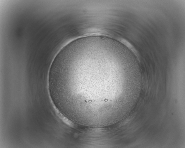 X0000074941431200609151953