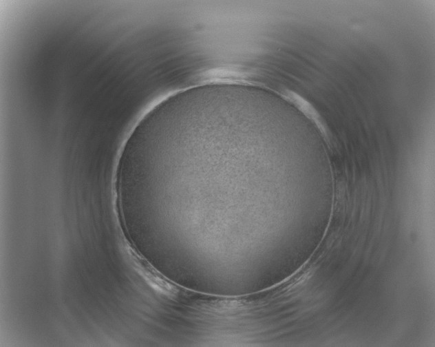 X0000074941435200609151953