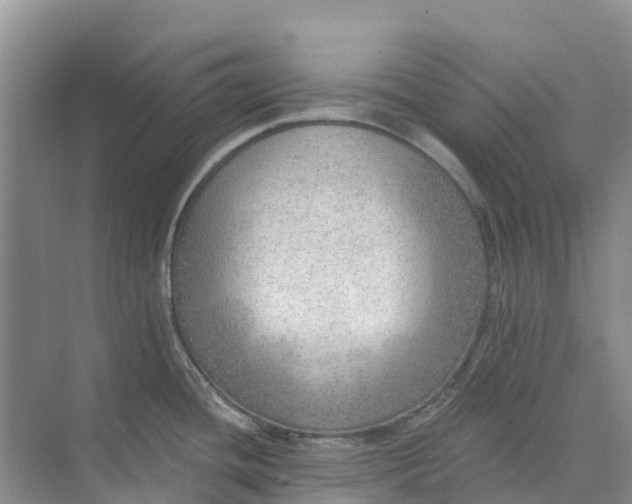 X0000074941436200609151953