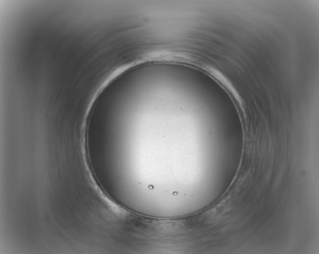 X0000074941437200609151953