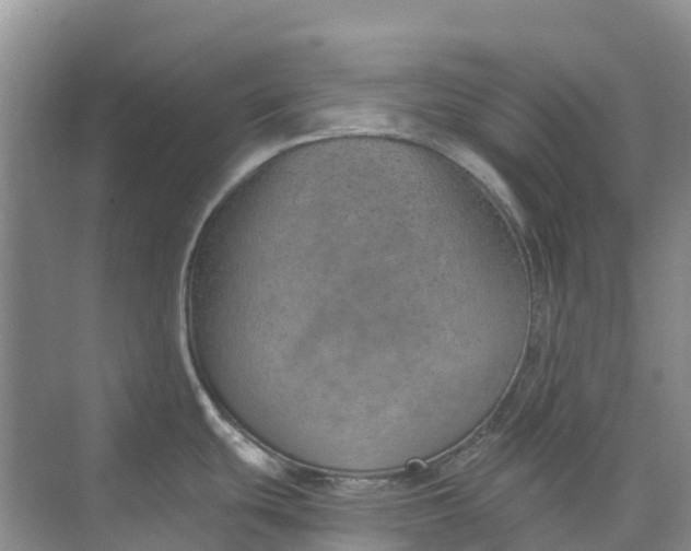 X0000074941439200609151953