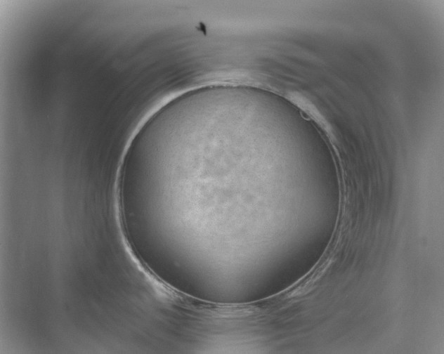 X0000074941440200609151953