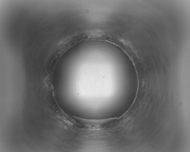 X0000074941445200609151952