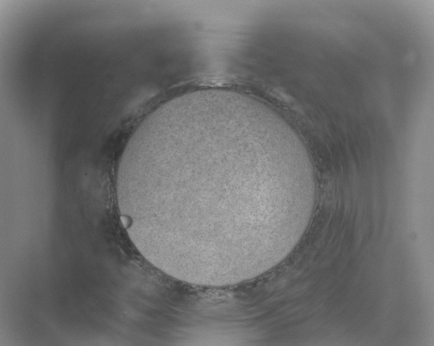 X0000074941446200609151952