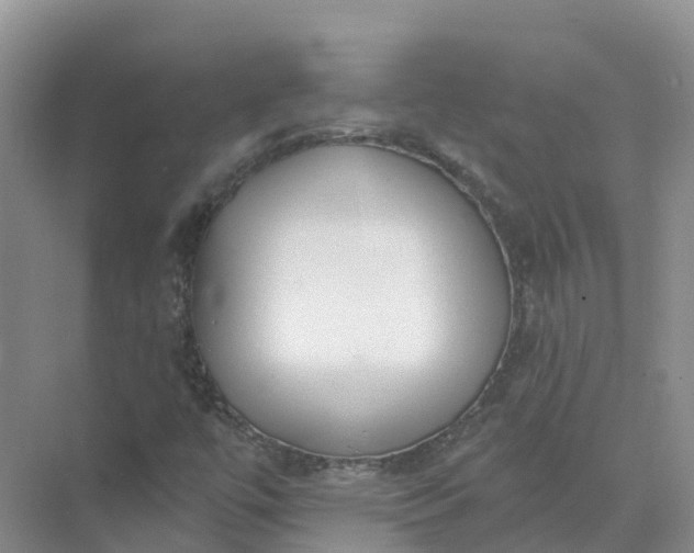 X0000074941447200609151952