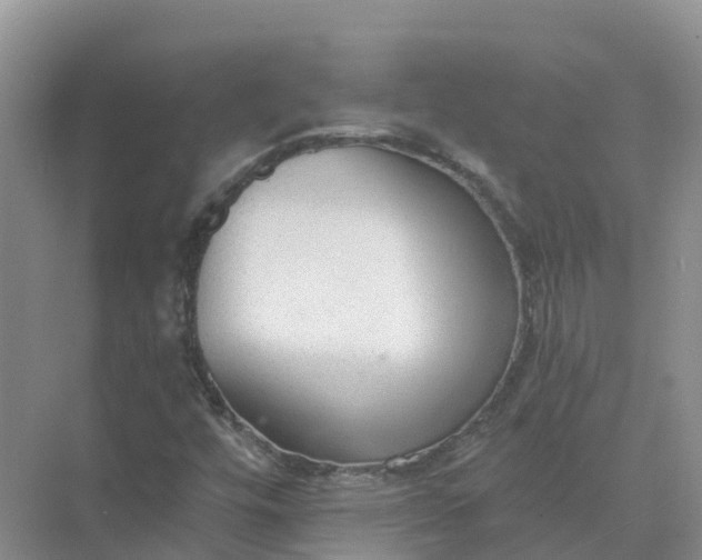 X0000074941448200609151952