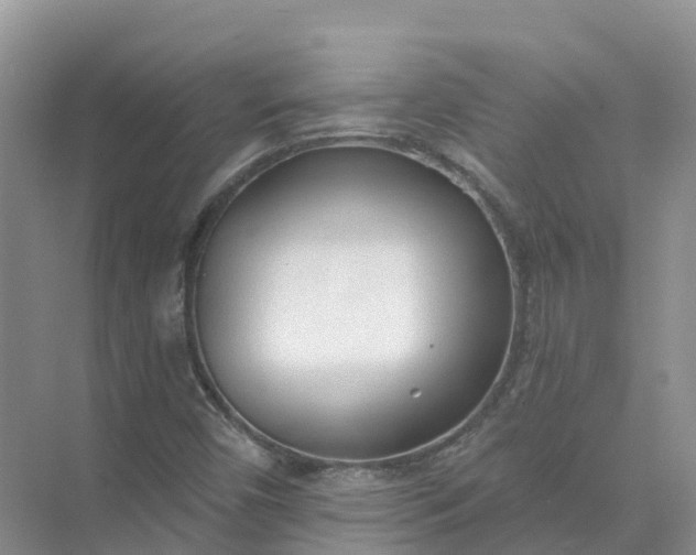 X0000074941450200609151952