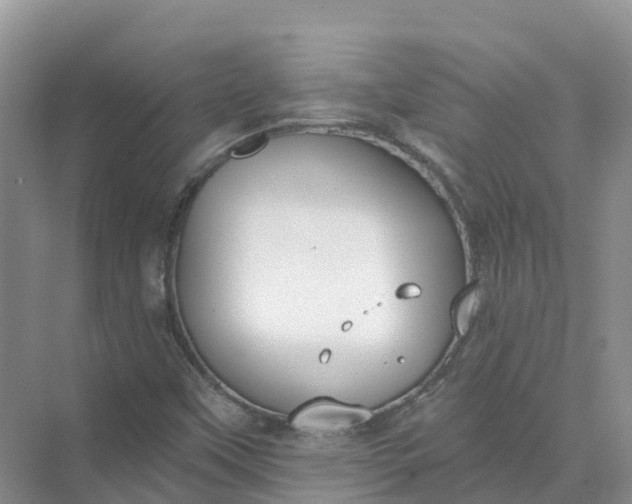 X0000074941451200609151952