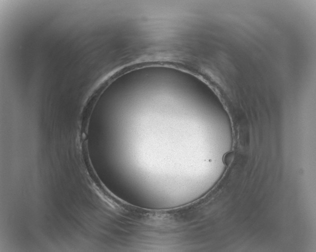 X0000074941452200609151952