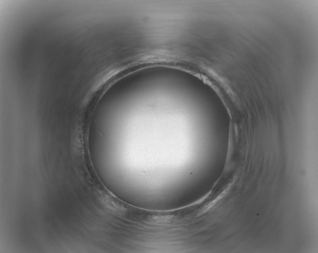 X0000074941453200609151952