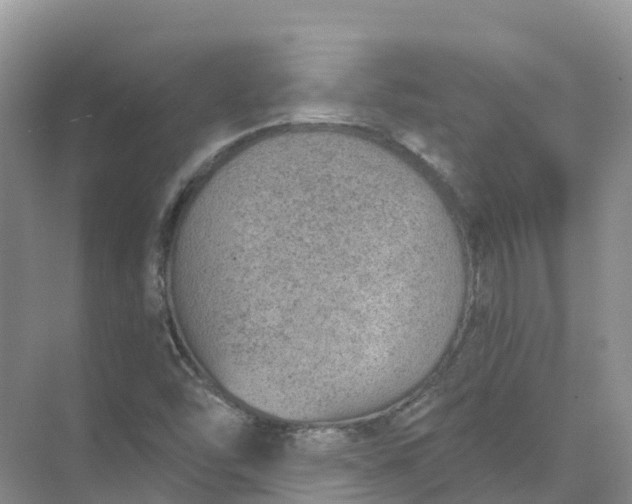 X0000074941454200609151952