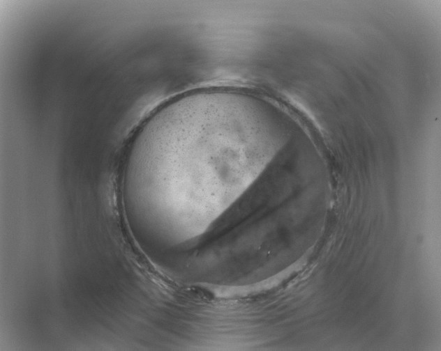 X0000074941455200609151952