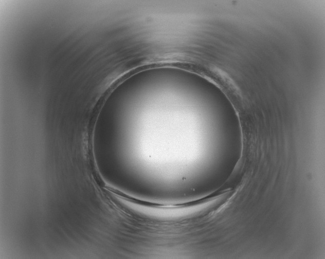 X0000074941457200609151952