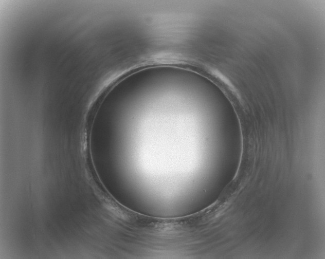 X0000074941461200609151952