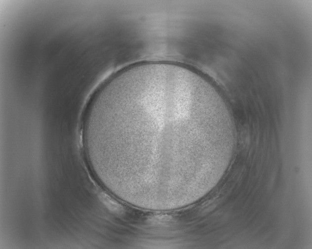 X0000074941462200609151952