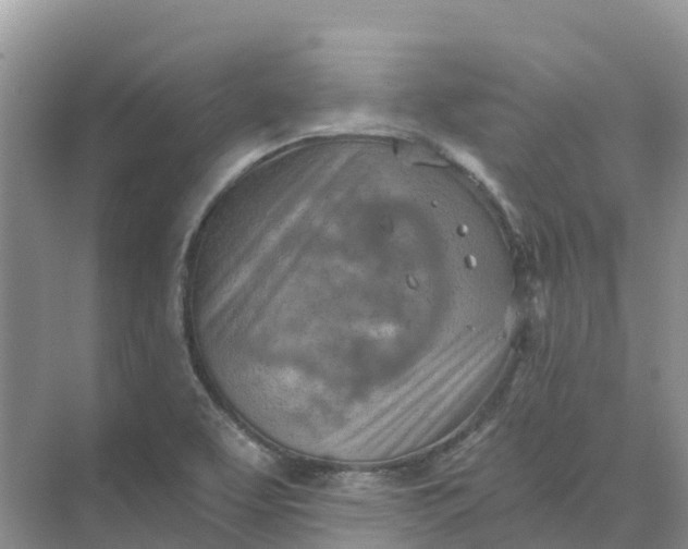 X0000074941463200609151952