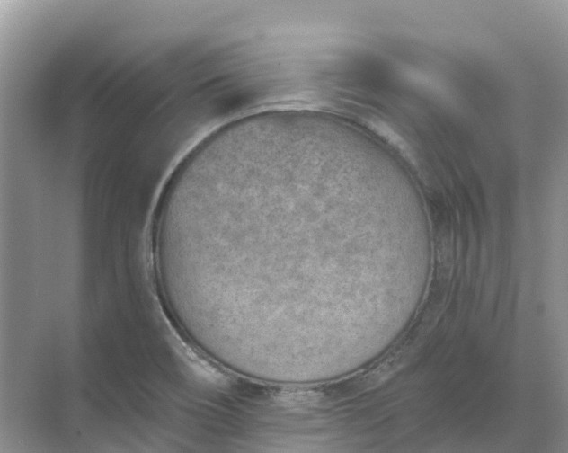 X0000074941466200609151952