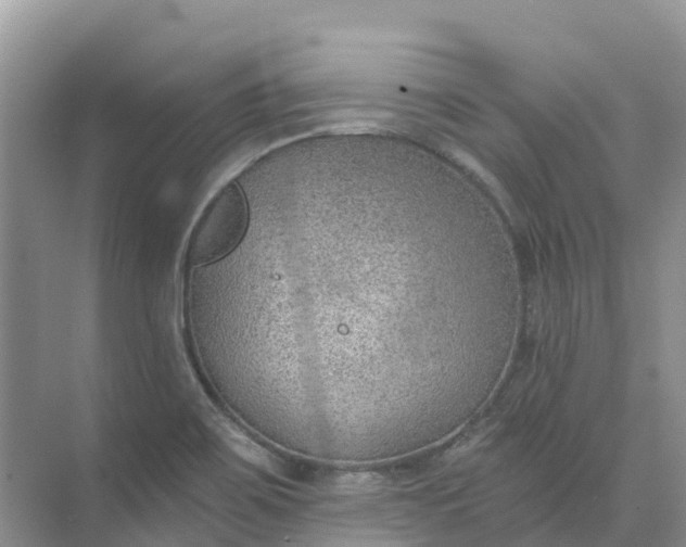 X0000074941467200609151952