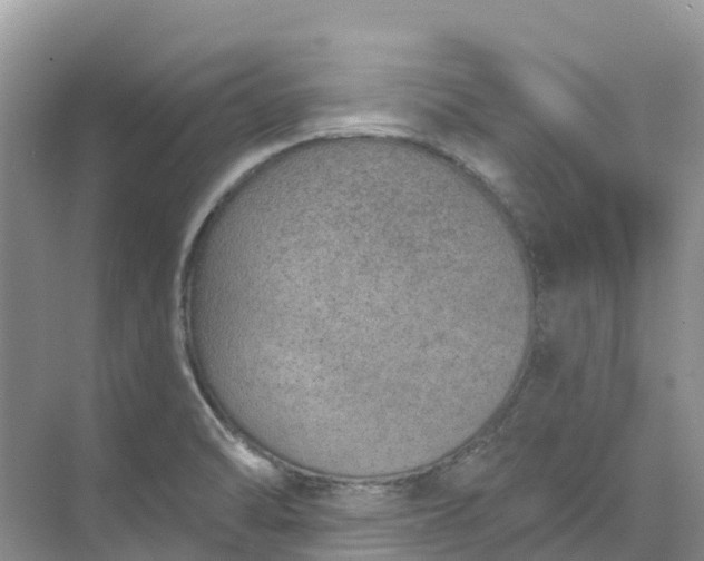 X0000074941470200609151952