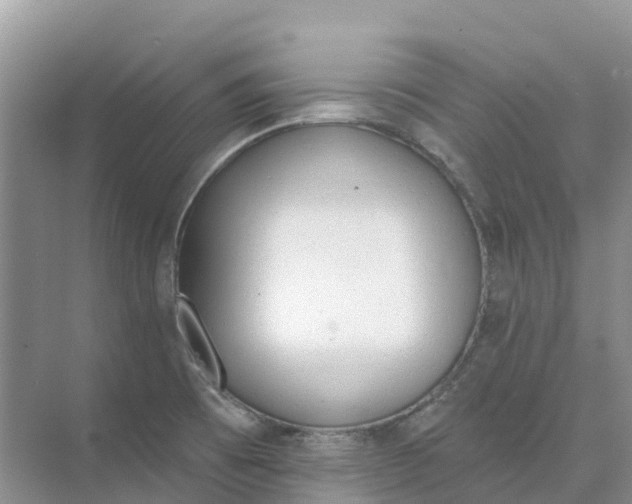 X0000074941473200609151952