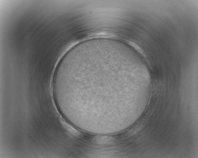 X0000074941474200609151952