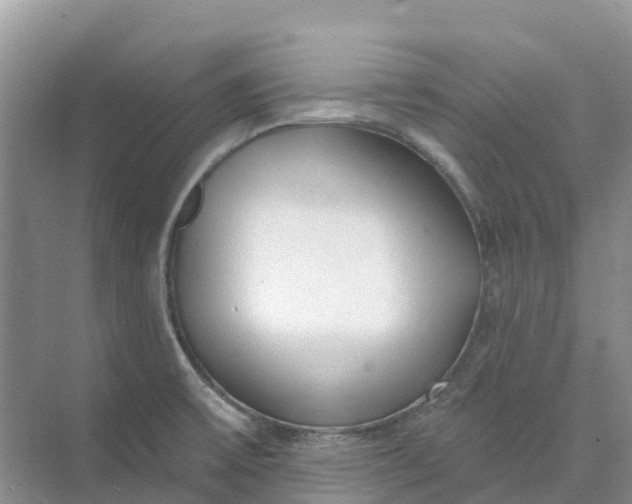 X0000074941475200609151952