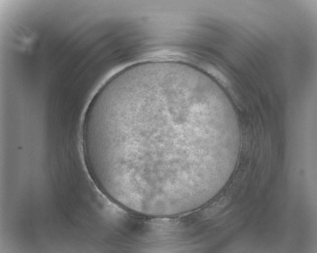 X0000074941478200609151952