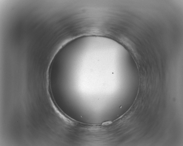 X0000074941479200609151952