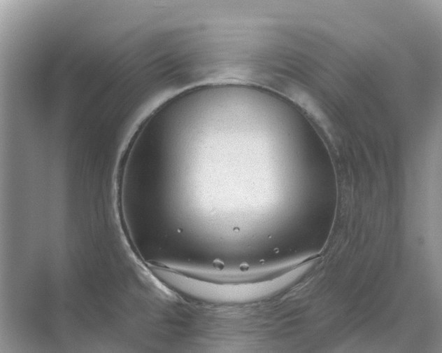 X0000074941480200609151952