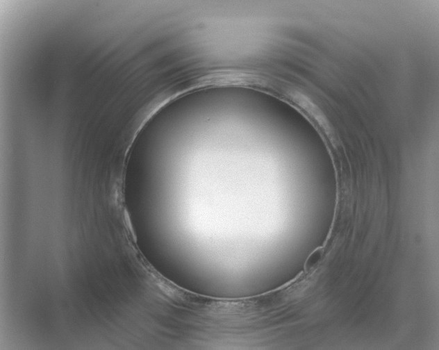 X0000074941481200609151952