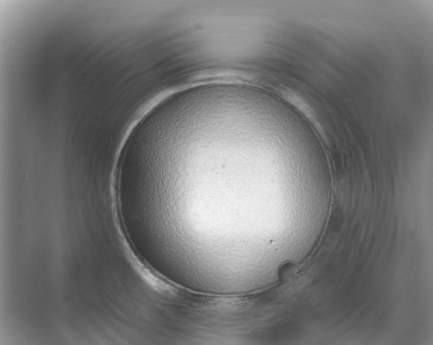 X0000074941482200609151952