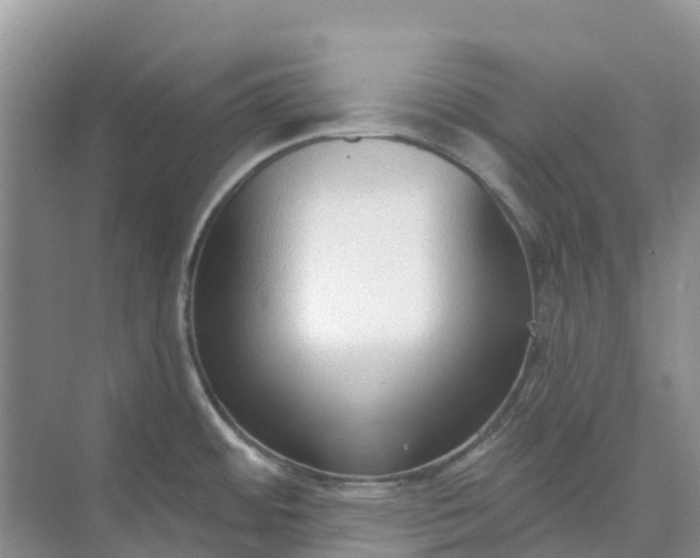 X0000074941484200609151952