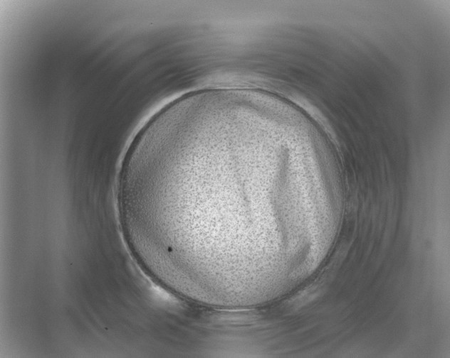 X0000074941486200609151952