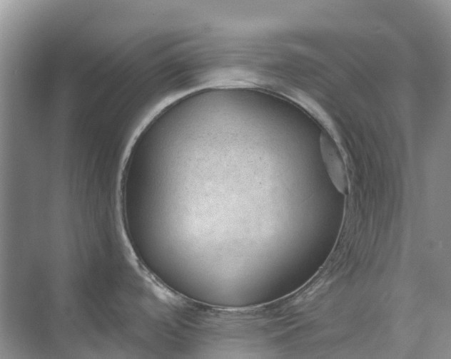 X0000074941488200609151952