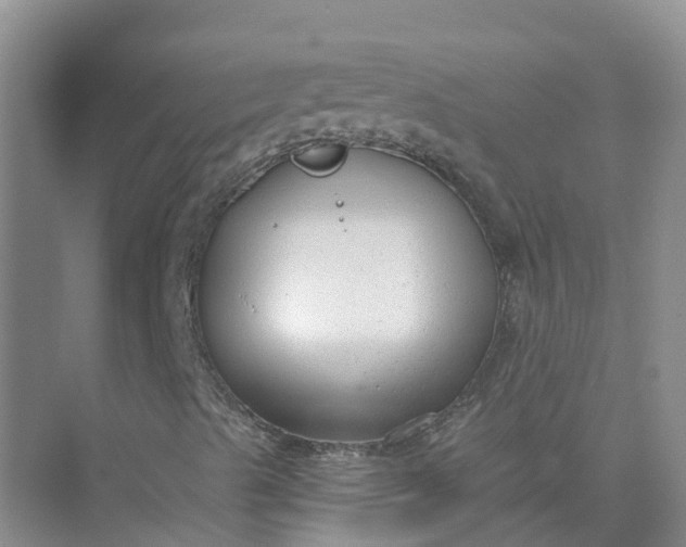 X0000074941489200609151951