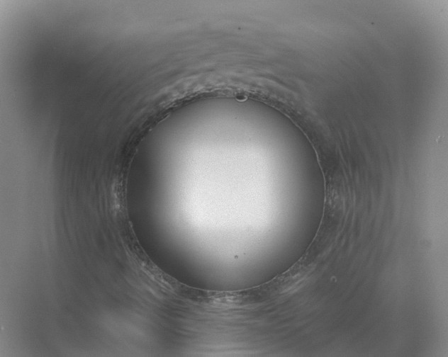 X0000074941490200609151951