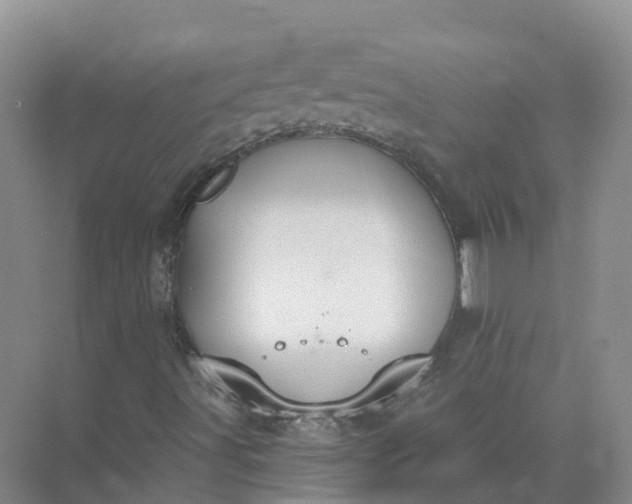 X0000074941491200609151951