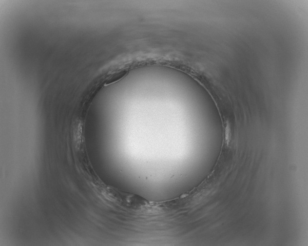 X0000074941492200609151951