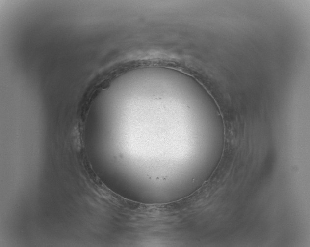 X0000074941493200609151951