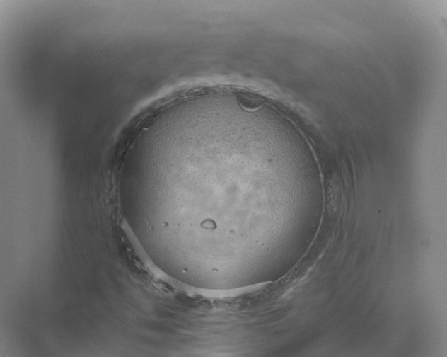 X0000074941494200609151951